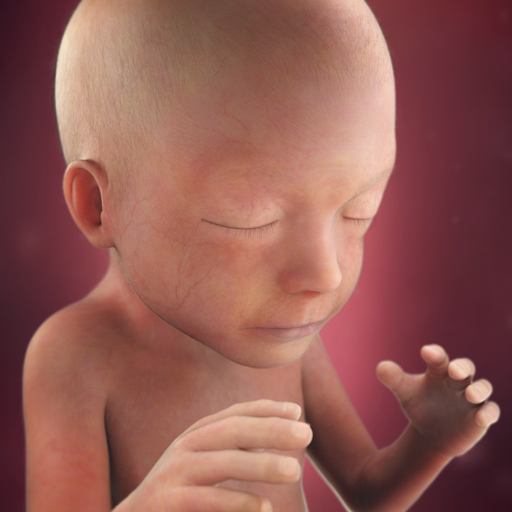 Mang thai tuần 21: Sự thay đổi của mẹ và sự phát triển của bé